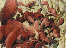 Squirrel Mob
