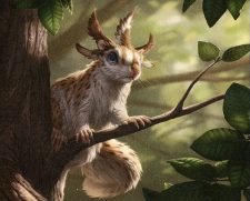 Squirrel Sovereign
