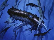 Steelfin Whale
