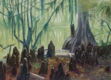 Swamp