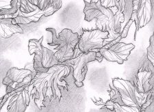 Sylvan Anthem