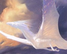 Timeless Dragon