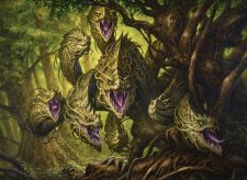 Wren’s Run Hydra