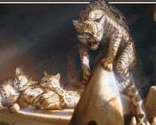 Ocelot Pride