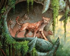 Ocelot Pride
