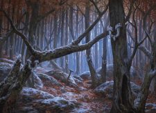 Shifting Woodland