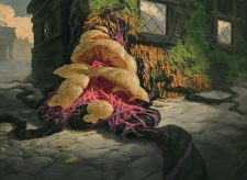 Sowing Mycospawn