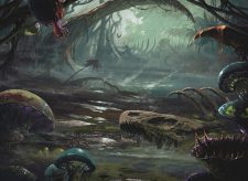 Swamp