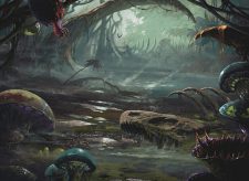 Swamp