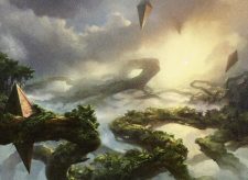 Canopy Vista