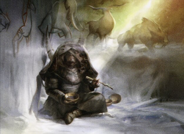 Shamanic Revelation