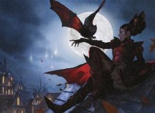 Bat Whisperer
