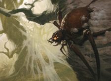 Brood Weaver