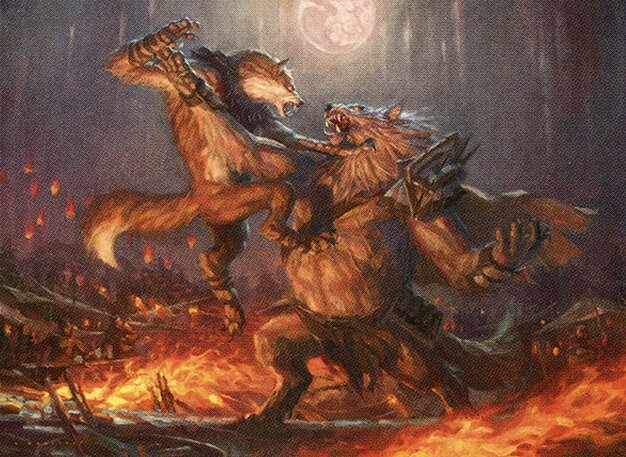 Duel for Dominance