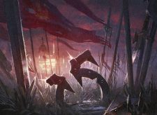 Field of Ruin