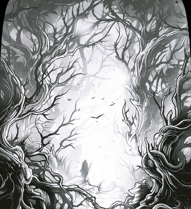 Forest