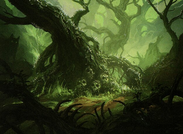 Forest