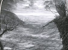 Plains
