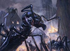 Rise of the Ants