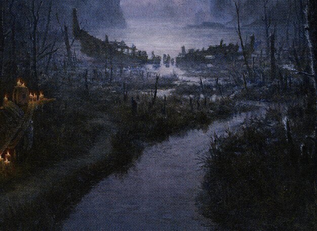 Shipwreck Marsh