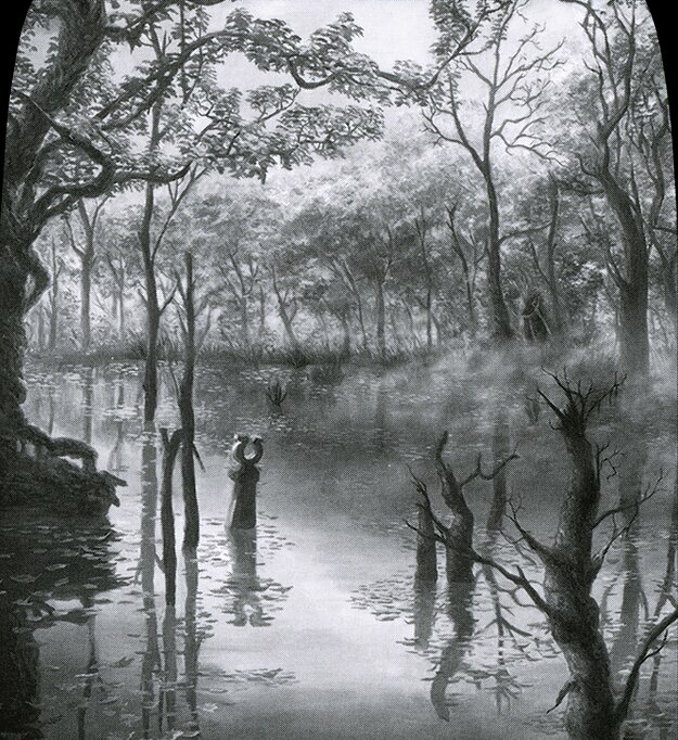 Swamp