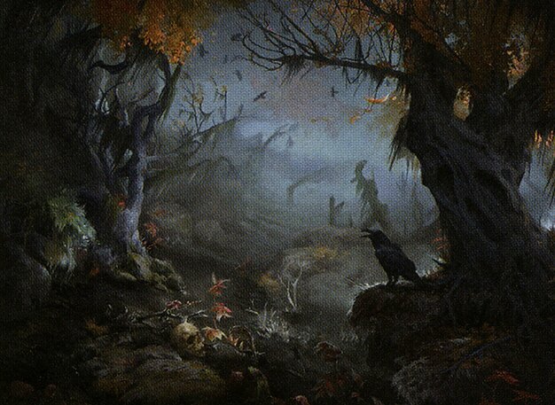 Swamp
