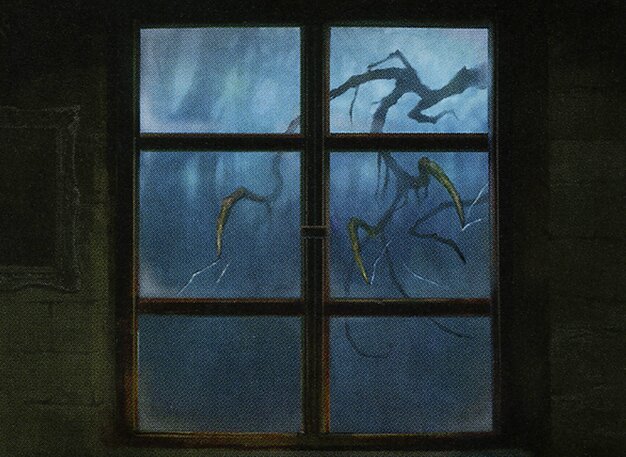 Tapping at the Window