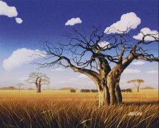 Grasslands