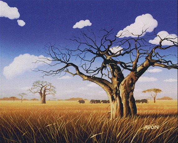Grasslands