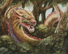 Jungle Wurm