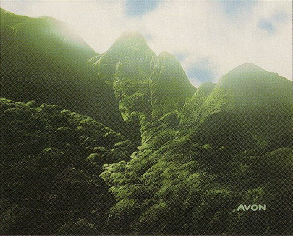 Mountain