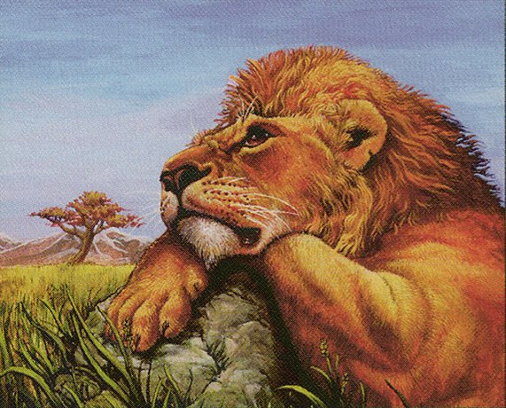 Mtenda Lion