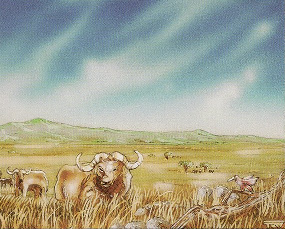 Plains