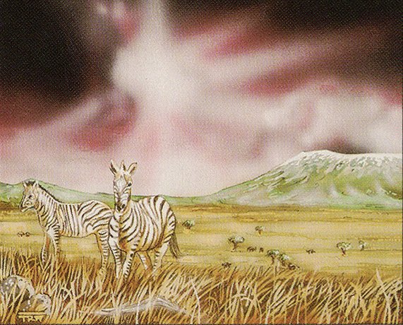 Plains