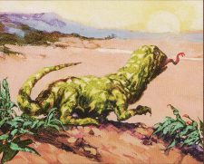 Pyric Salamander