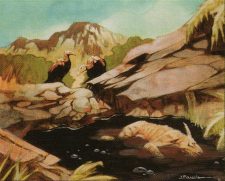Rocky Tar Pit