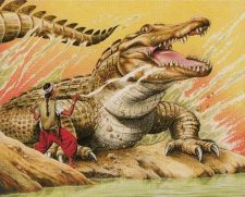 Sandbar Crocodile