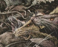 Sewer Rats