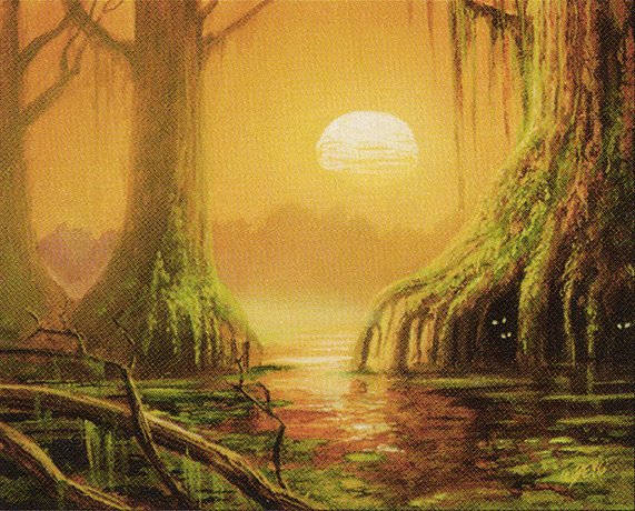 Swamp