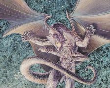 Teeka’s Dragon