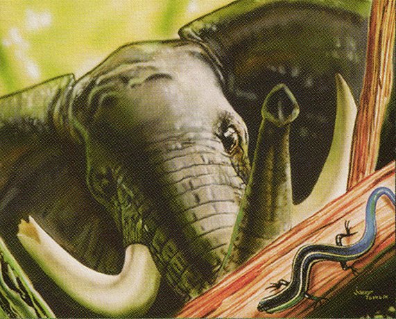 Wild Elephant