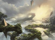 Canopy Vista