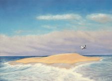 Lonely Sandbar