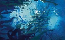 Tangletrove Kelp