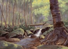 Tranquil Thicket