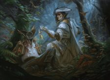 Ulvenwald Mysteries