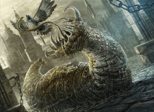 Festerleech