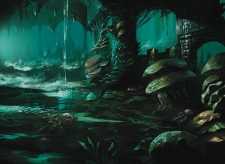 Swamp