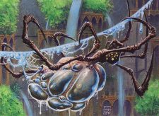 Aquastrand Spider