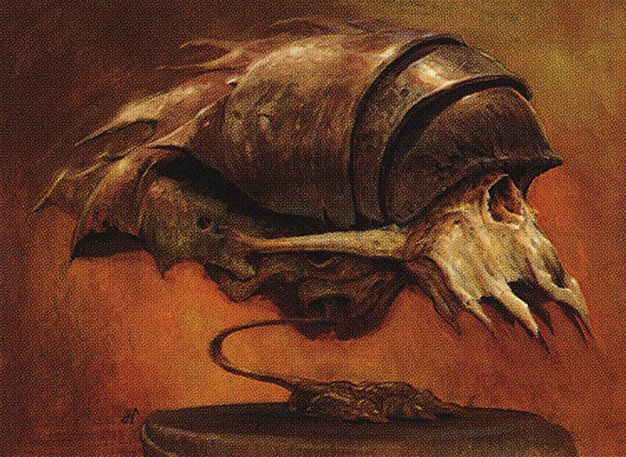 Cranial Plating